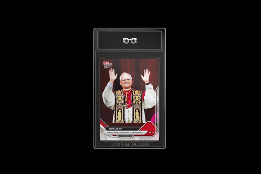 2025 Pope Leo XIV
